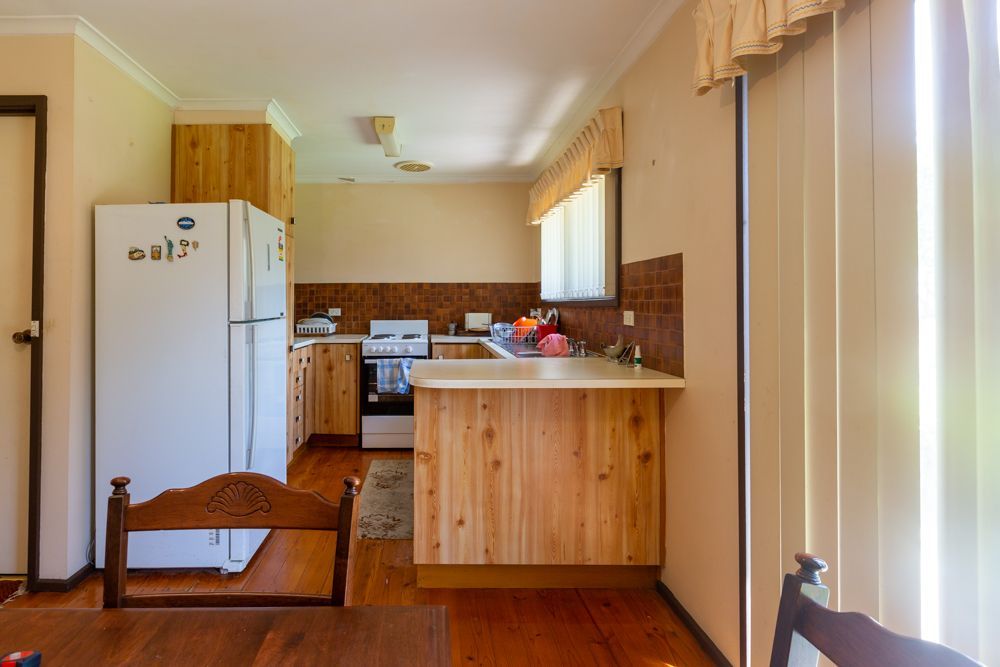 Green backyard with lawn, trees, shrubs, and clothesline.