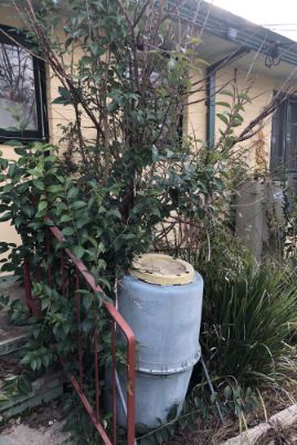 A weathered gray water tank next to overgrown shrubs, a metal railing, and a light-colored house.