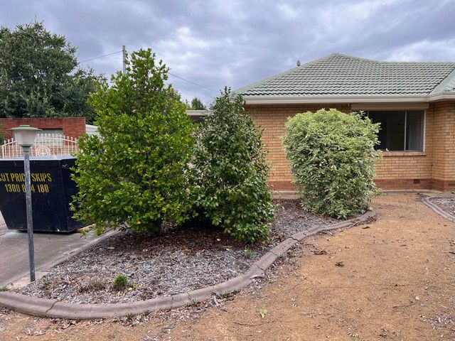 Three trimmed bushes in a garden bed in front of a brick house under a cloudy sky.