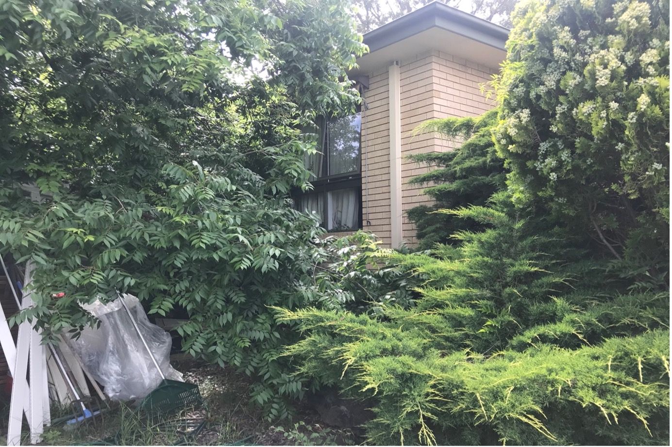 Cluttered room with shelves, chest of drawers, and various electronic items. Neutral color palette.