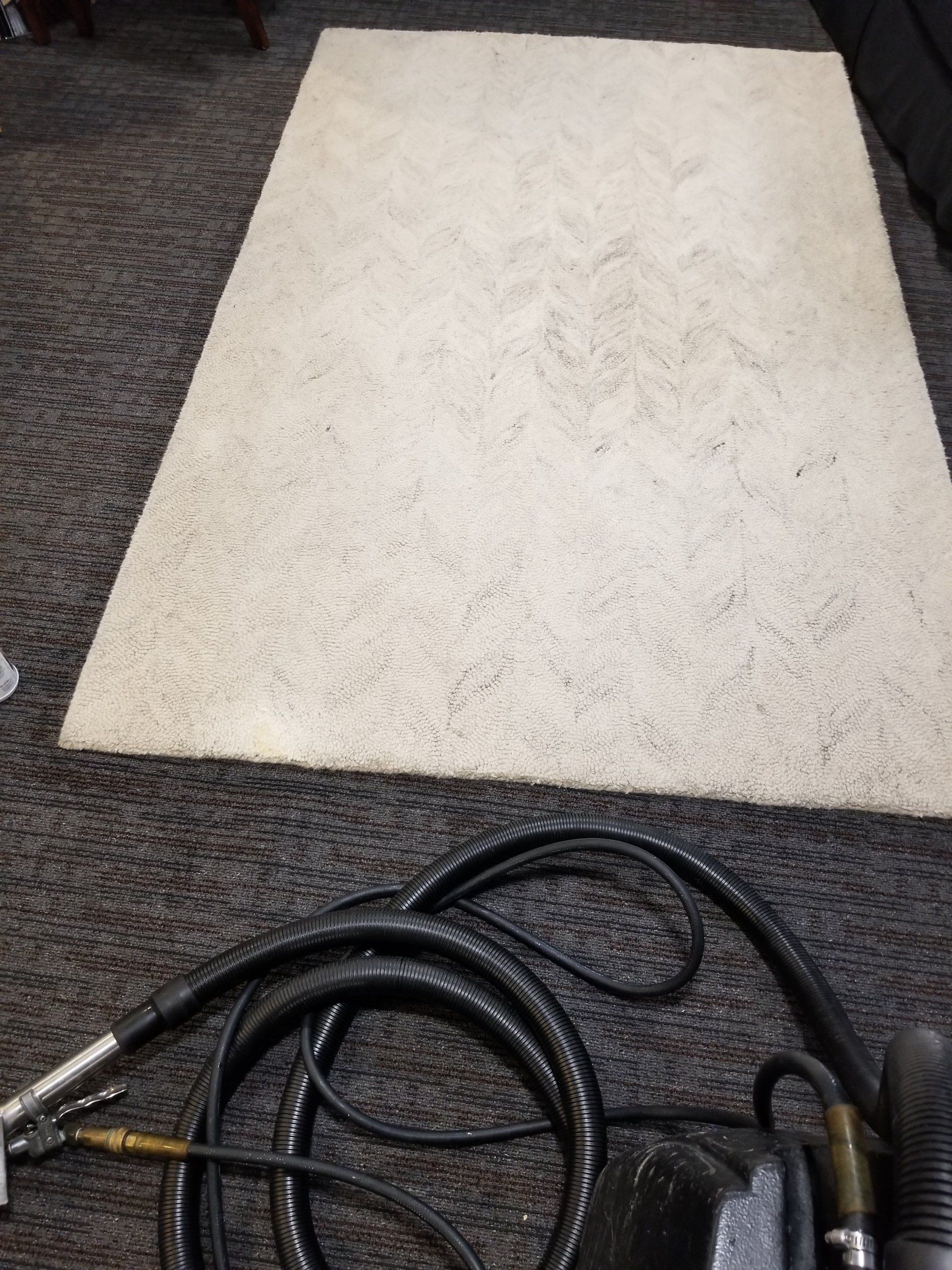 Dirty Carpet Sample — Sleepy Hollow, NY — Noel Green's Cleaning Services LLC