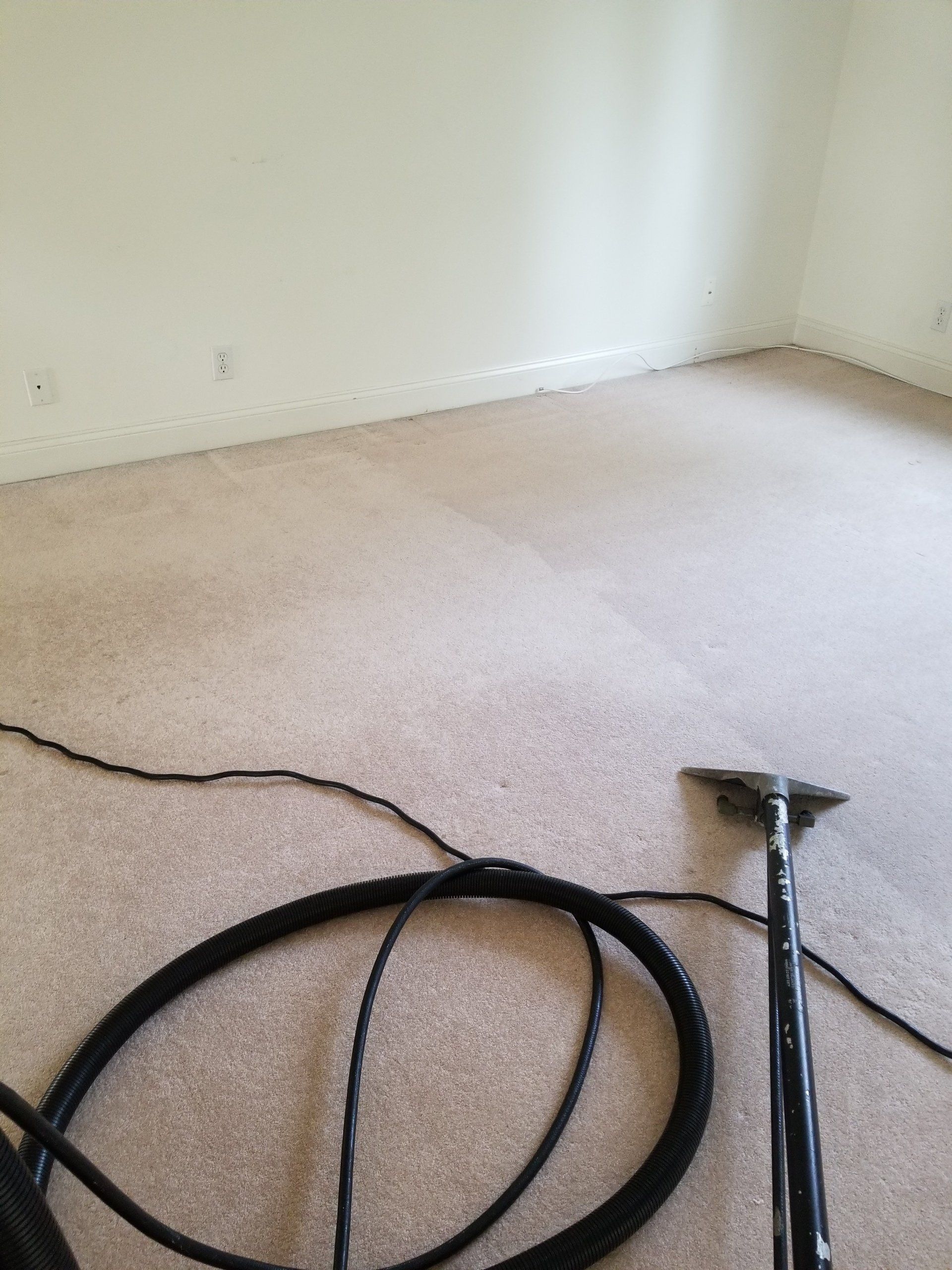 Carpet Cleaned — Sleepy Hollow, NY — Noel Green's Cleaning Services LLC