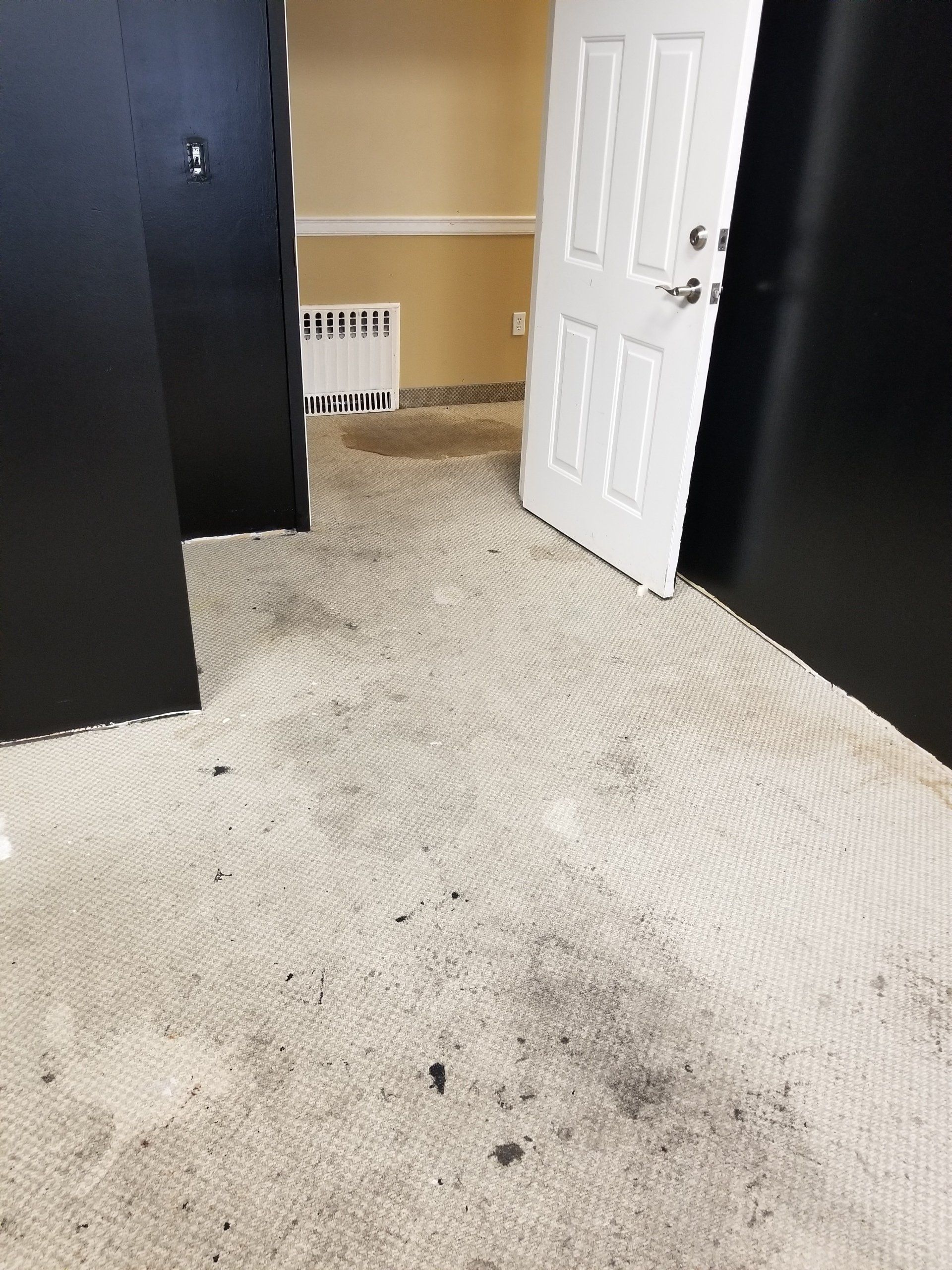 Floor Cleaning — Sleepy Hollow, NY — Noel Green's Cleaning Services LLC