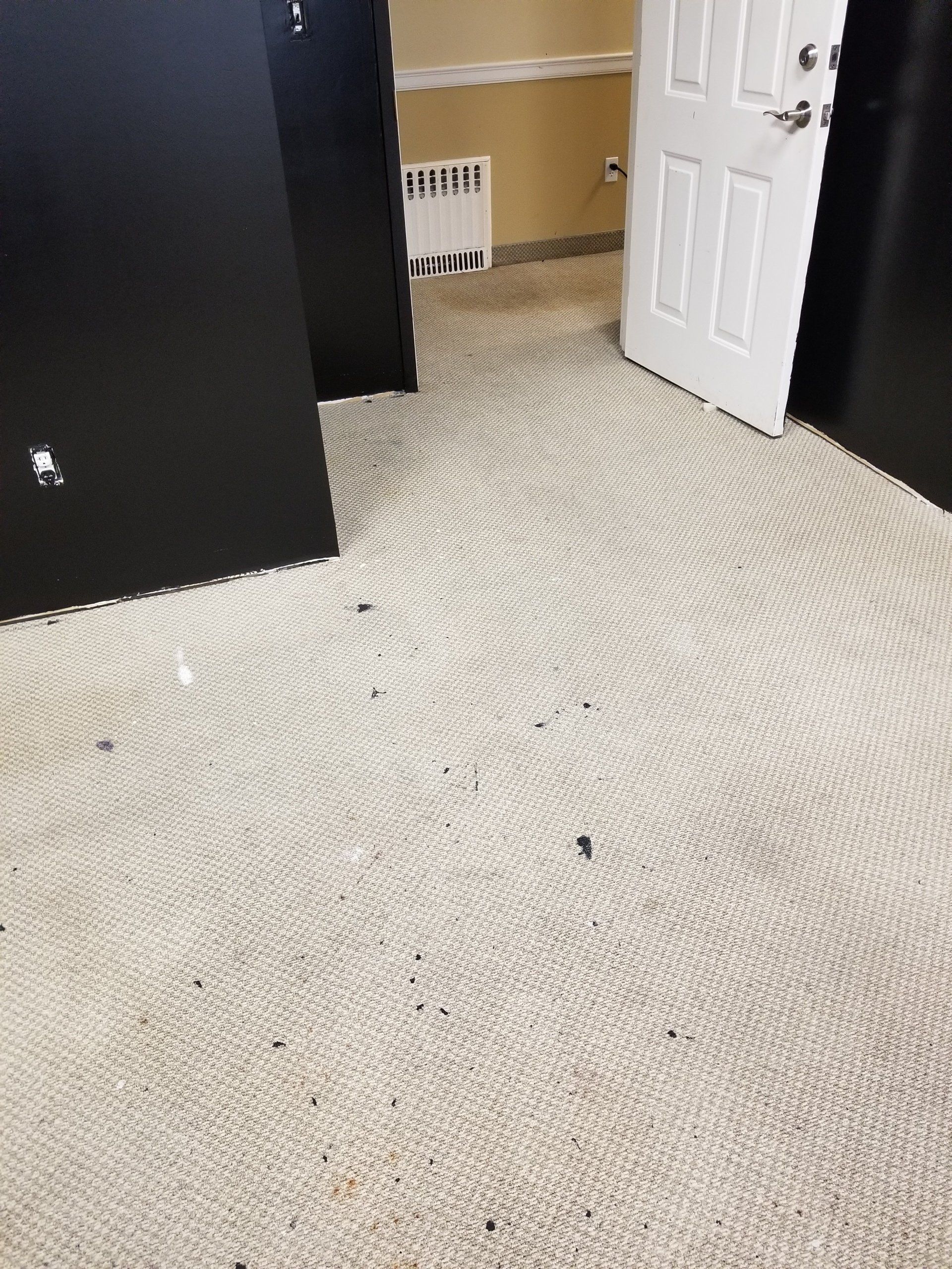 Floor Cleaning Process — Sleepy Hollow, NY — Noel Green's Cleaning Services LLC