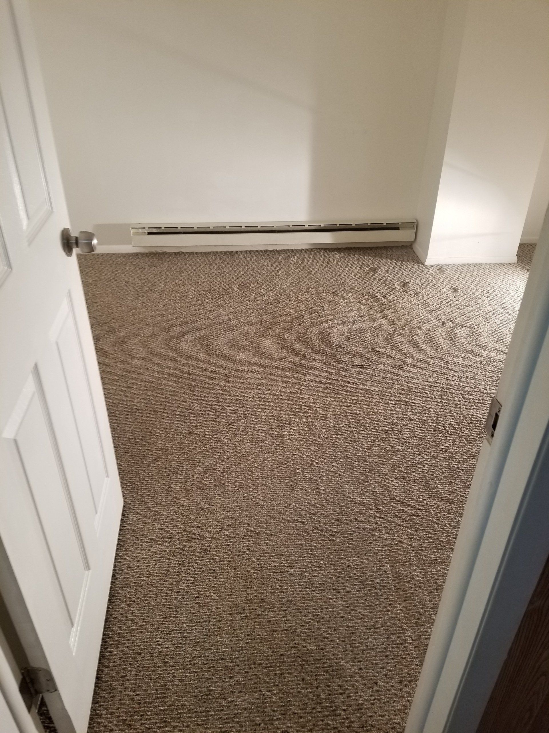Installed Carpet Sample — Sleepy Hollow, NY — Noel Green's Cleaning Services LLC