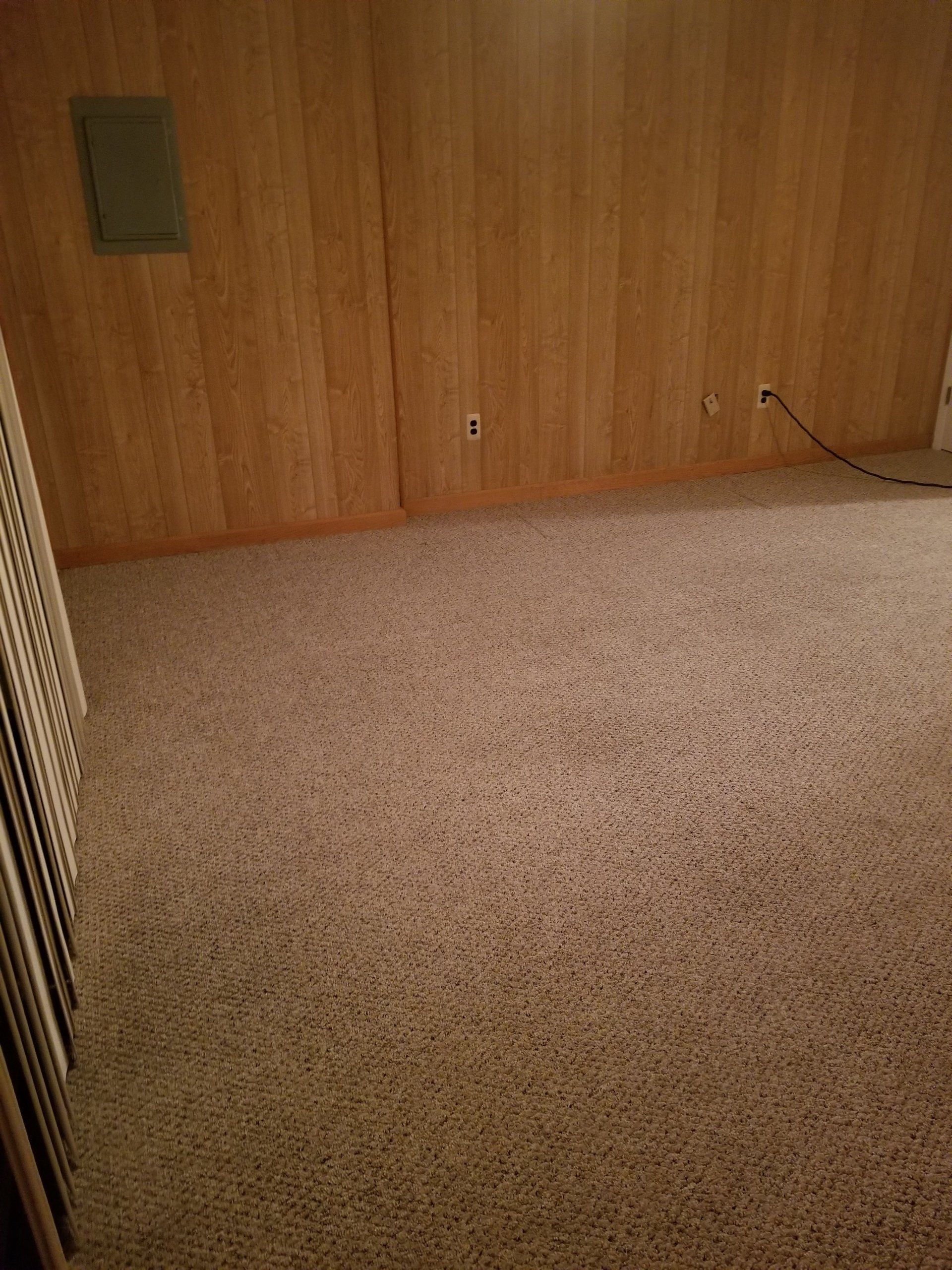 Carpet Cleaning — Sleepy Hollow, NY — Noel Green's Cleaning Services LLC