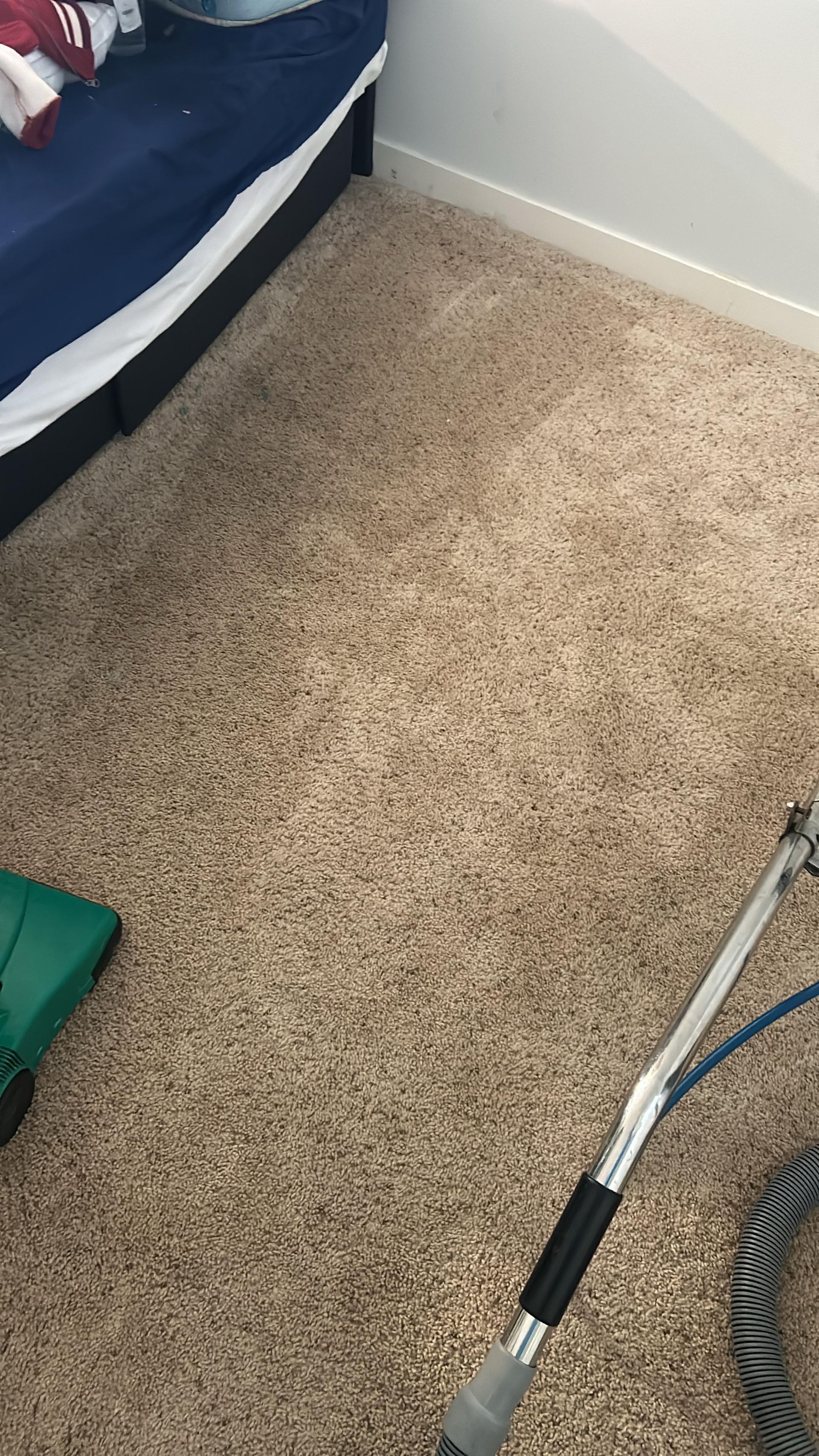 A carpet cleaning wand rests on a beige carpeted floor near a bed frame and a green vacuum tool.