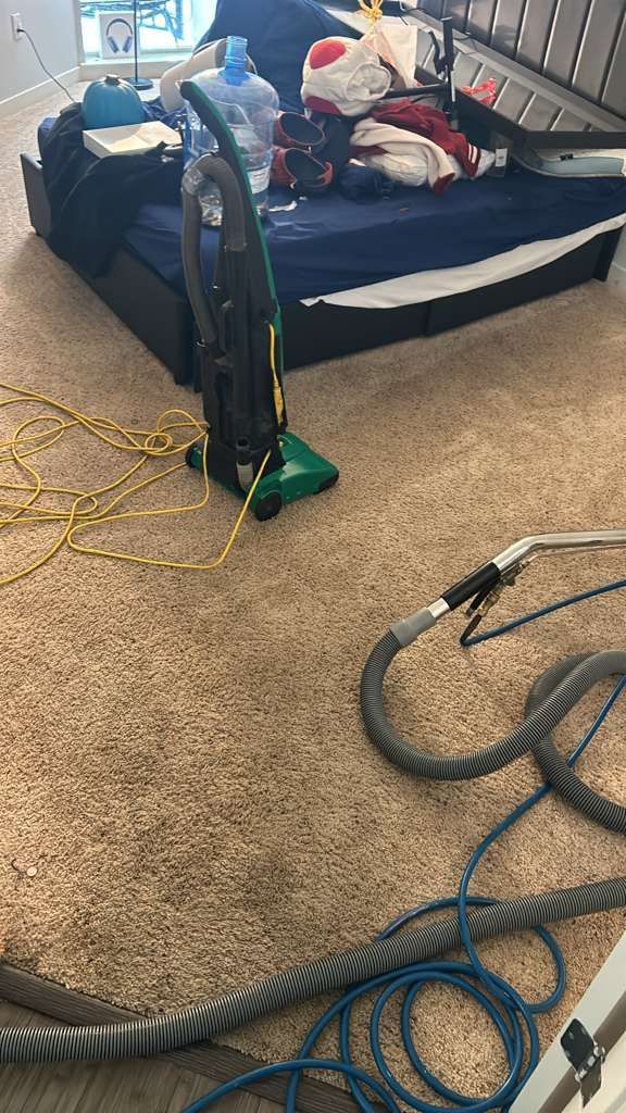 A room with a green vacuum cleaner on a beige carpet, a blue-covered bed, and a floor-cleaning machine hose in the foreground.