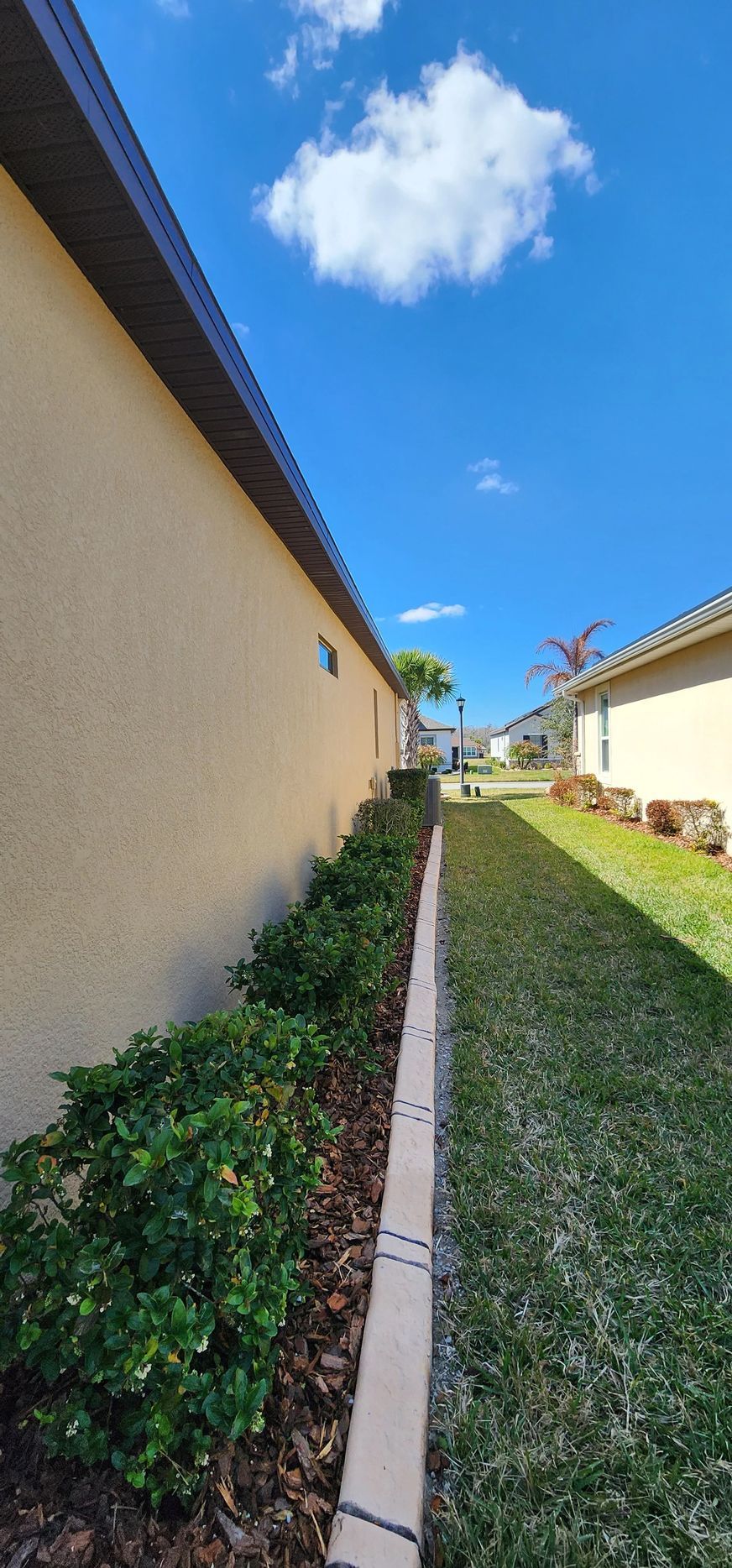 A narrow strip of grass and shrubs between two buildings, under a blue sky with clouds.