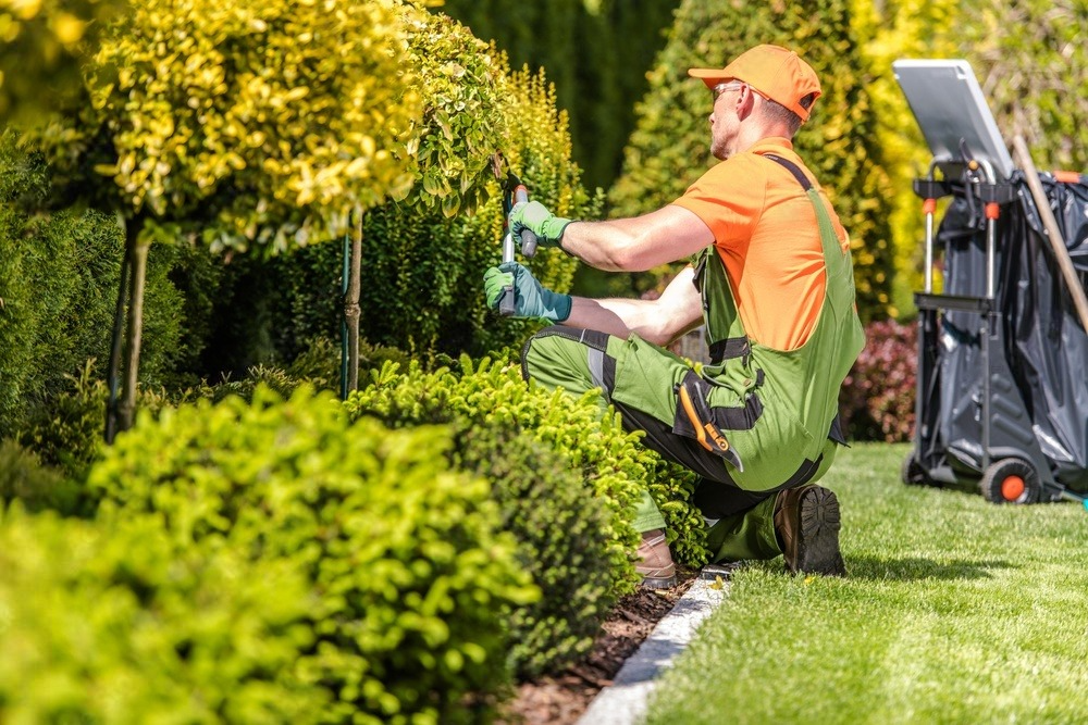 a man is kneeling down in a garden cutting a bush