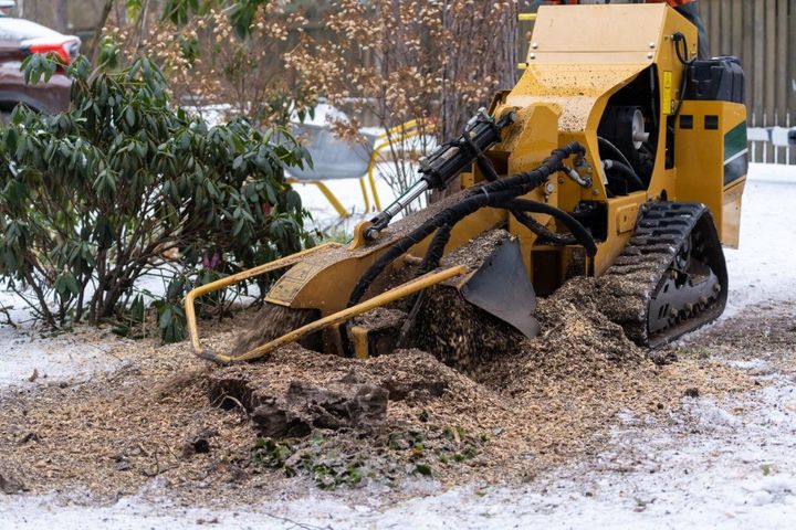 Yellow stump grinder grinding a tree stump, creating wood chips in a snowy yard.