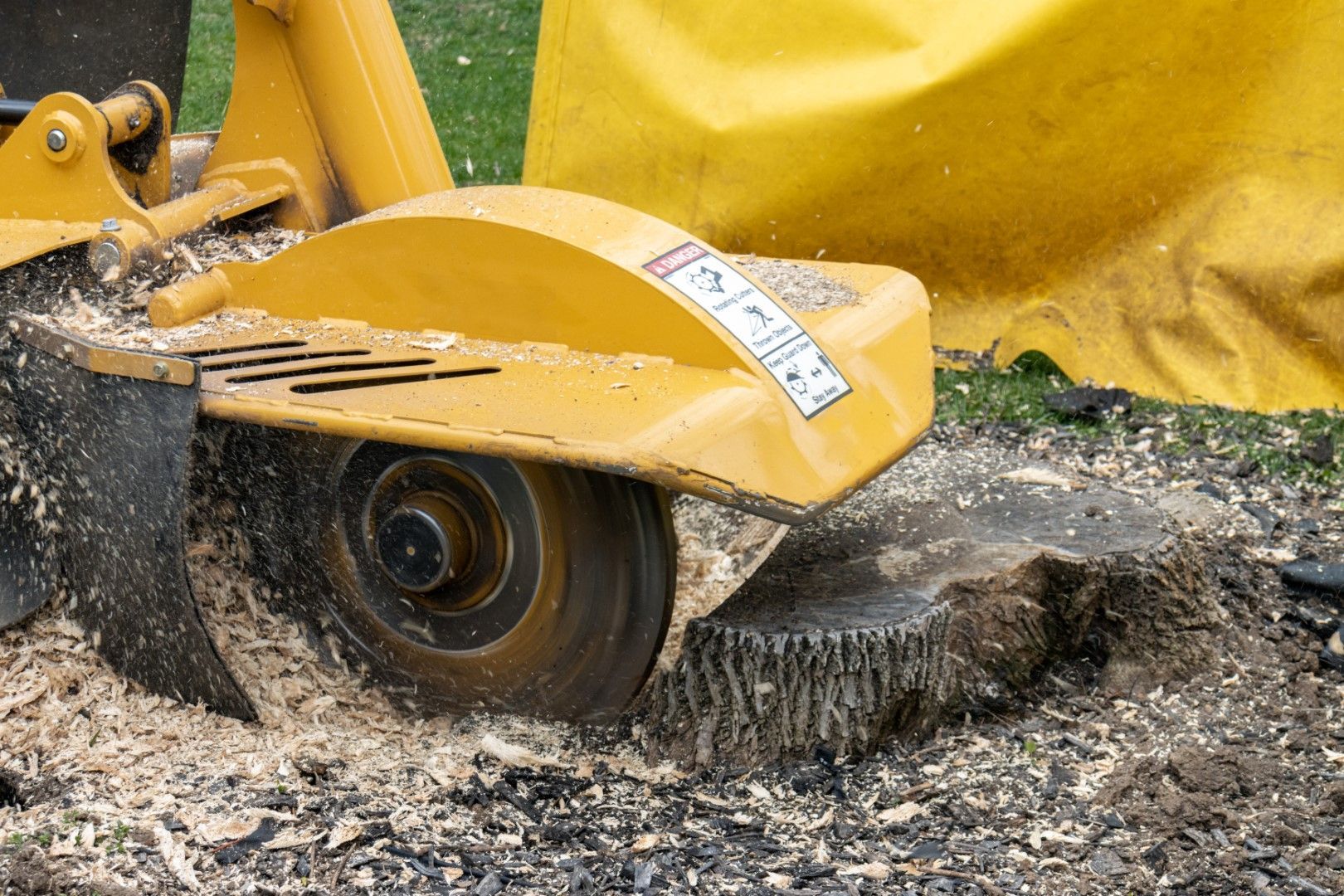 Yellow stump grinder grinding a tree stump into wood chips on the ground.