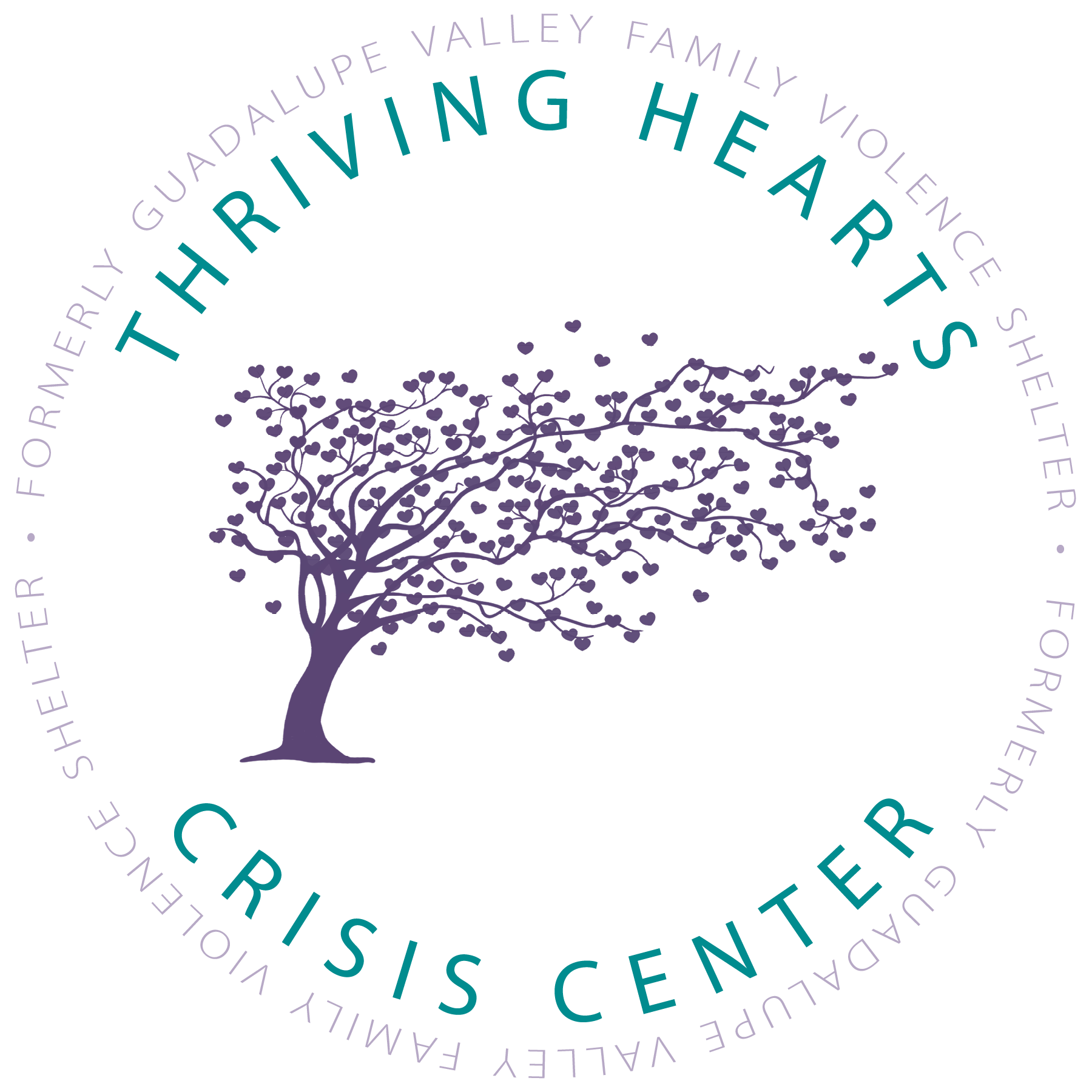 Guadalupe Valley Family Violence Shelter, Inc.