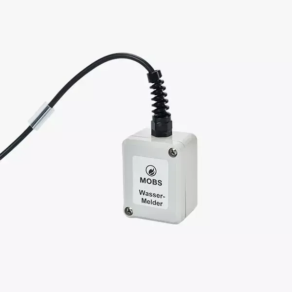 Funk-Wassermelder FWM