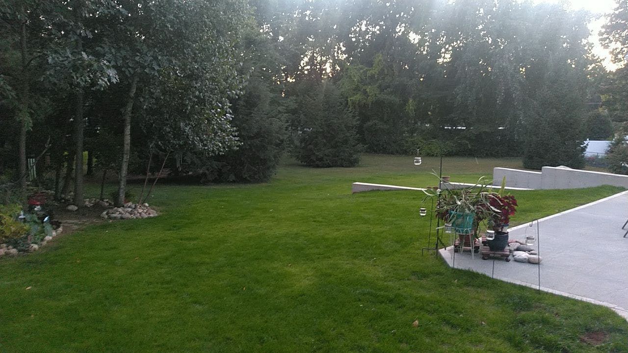 hydroseeding and new grass