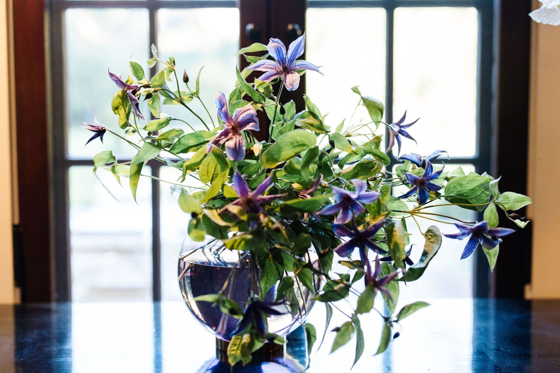A vase filled with flowers is sitting on a table in front of a window.