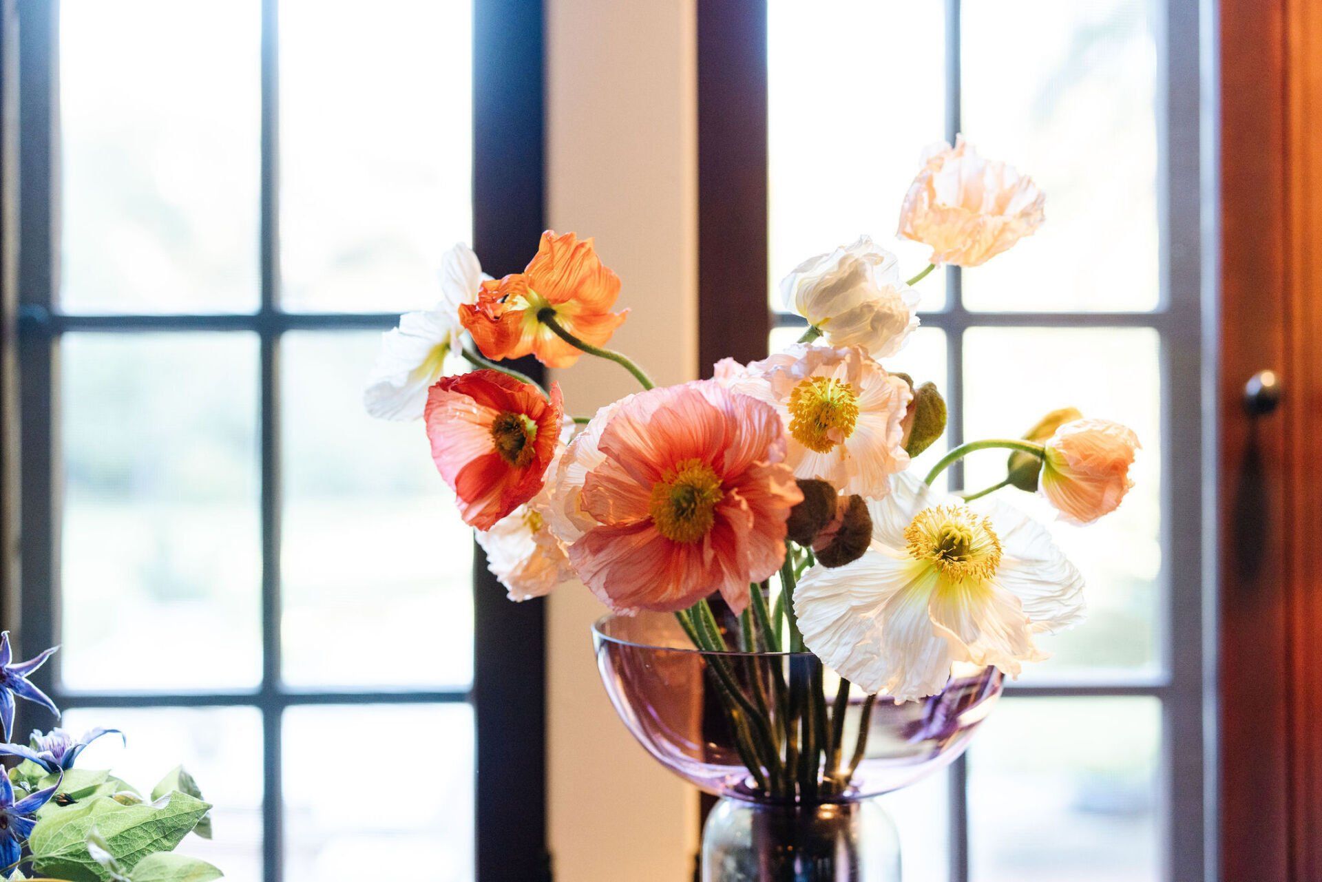 A vase filled with flowers is sitting on a table in front of a window.
