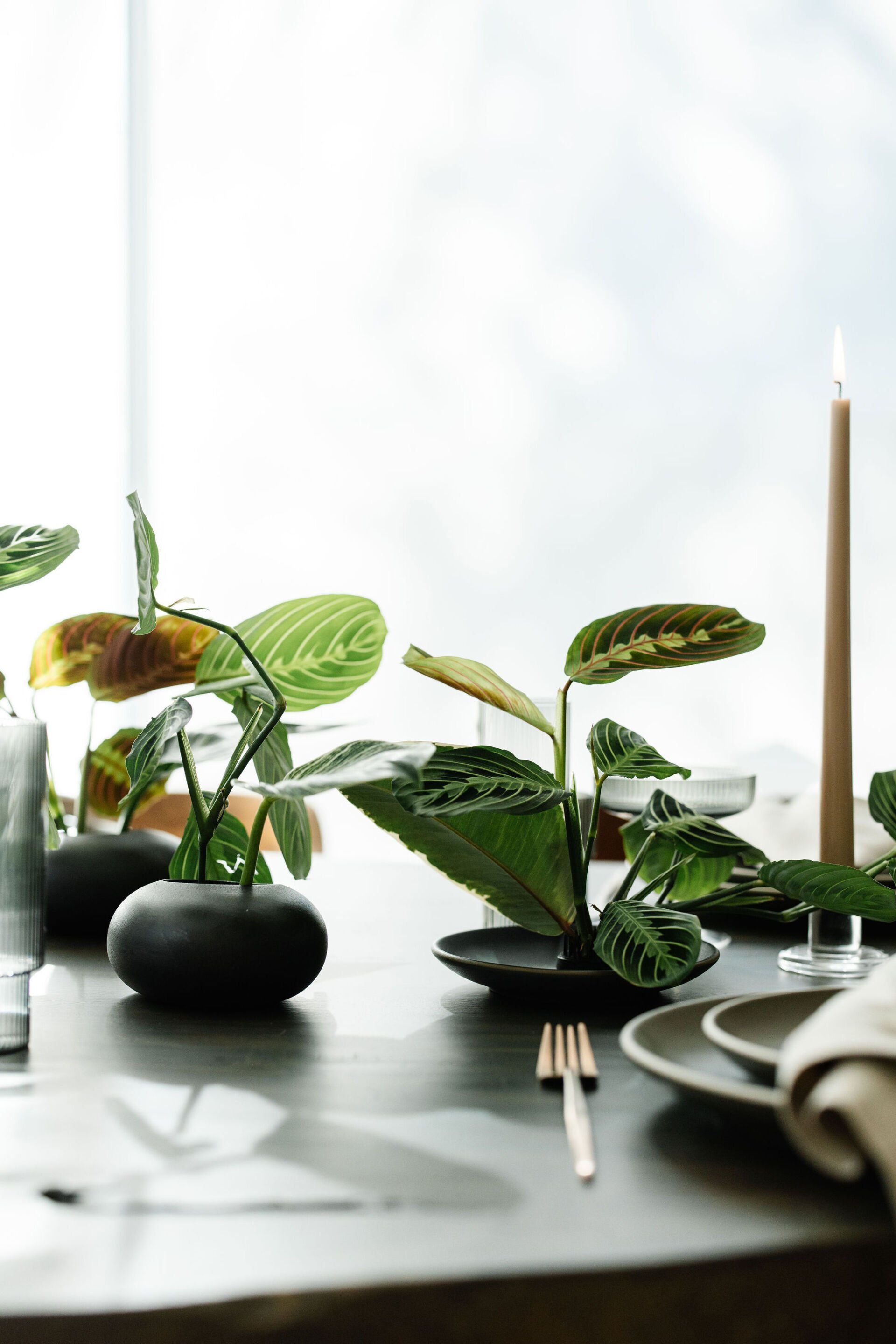 A table with plates , candles , and plants on it.