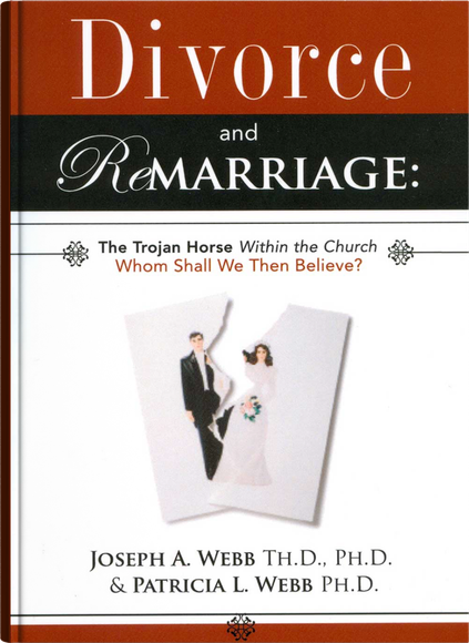 Divorce and Remarriage book