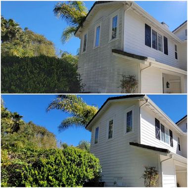 Two exterior views of a white house with a palm tree and dense greenery under a bright blue sky