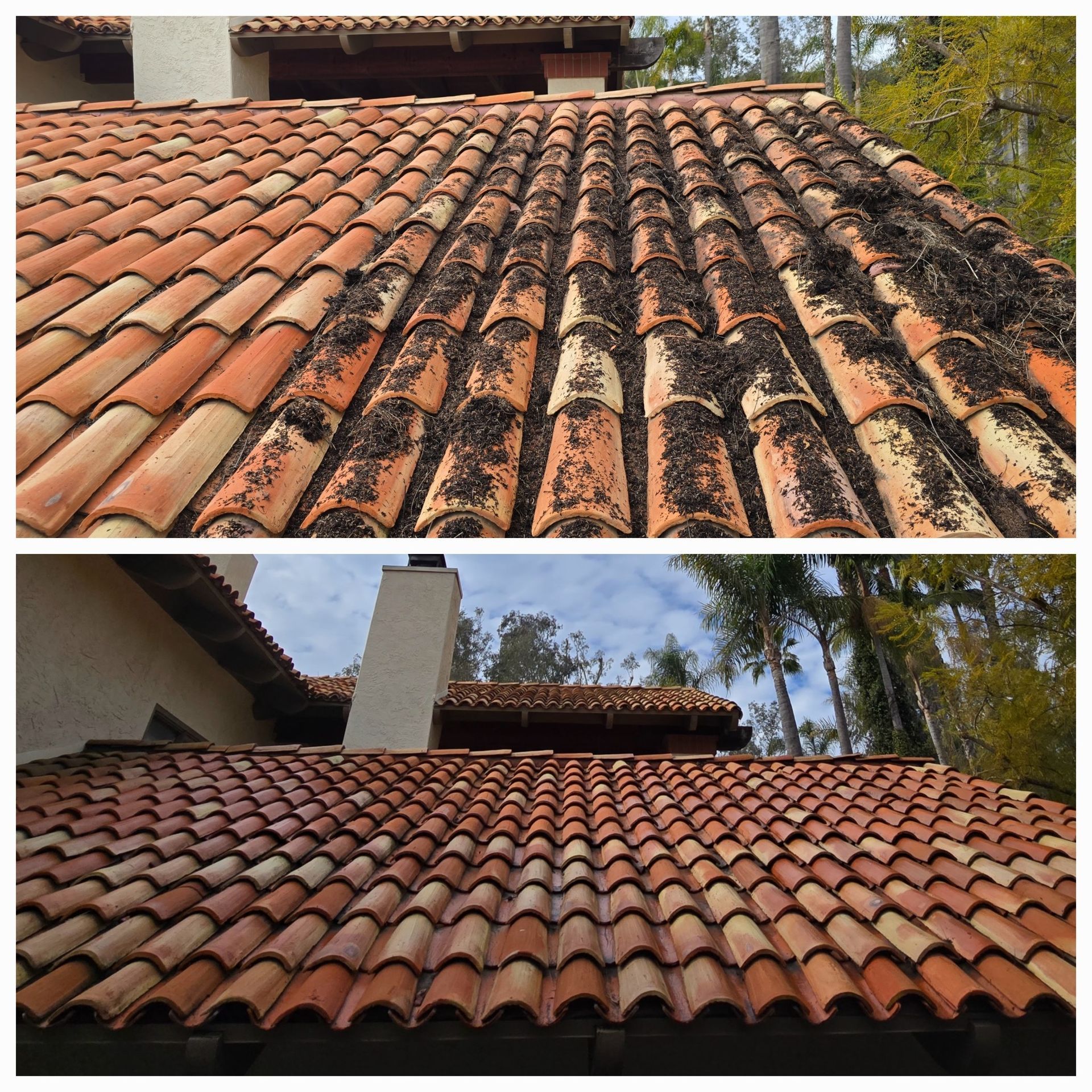 Before-and-after view of a terracotta tile roof, heavily stained on top and cleaned below