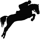 Horse graphic