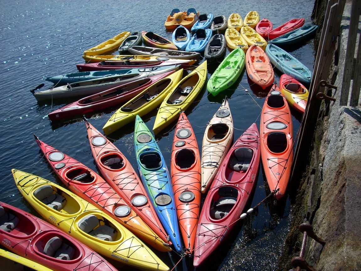 A bunch of colorful kayaks are lined up on the water
