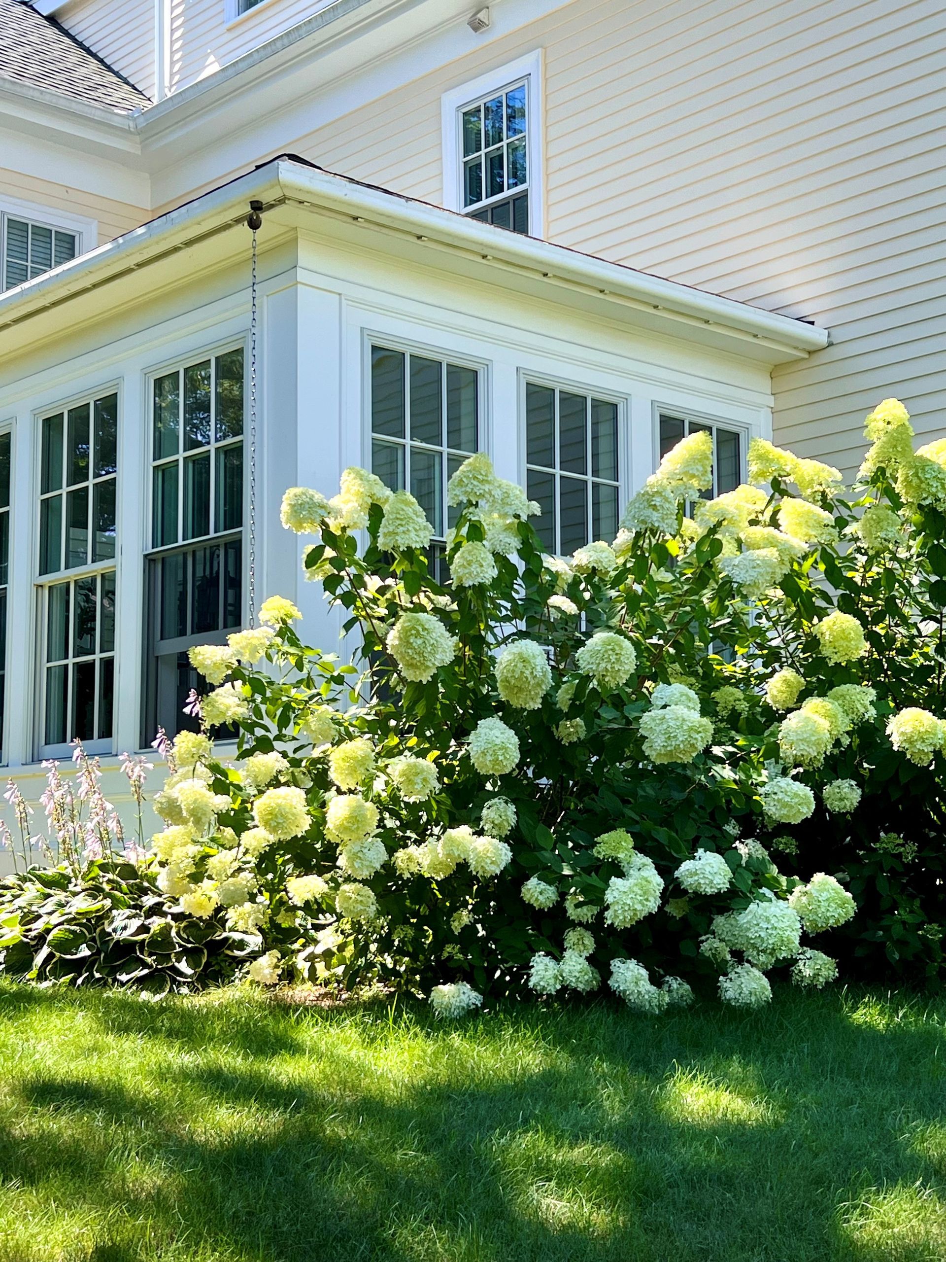 A house with a porch and flowers in front of it