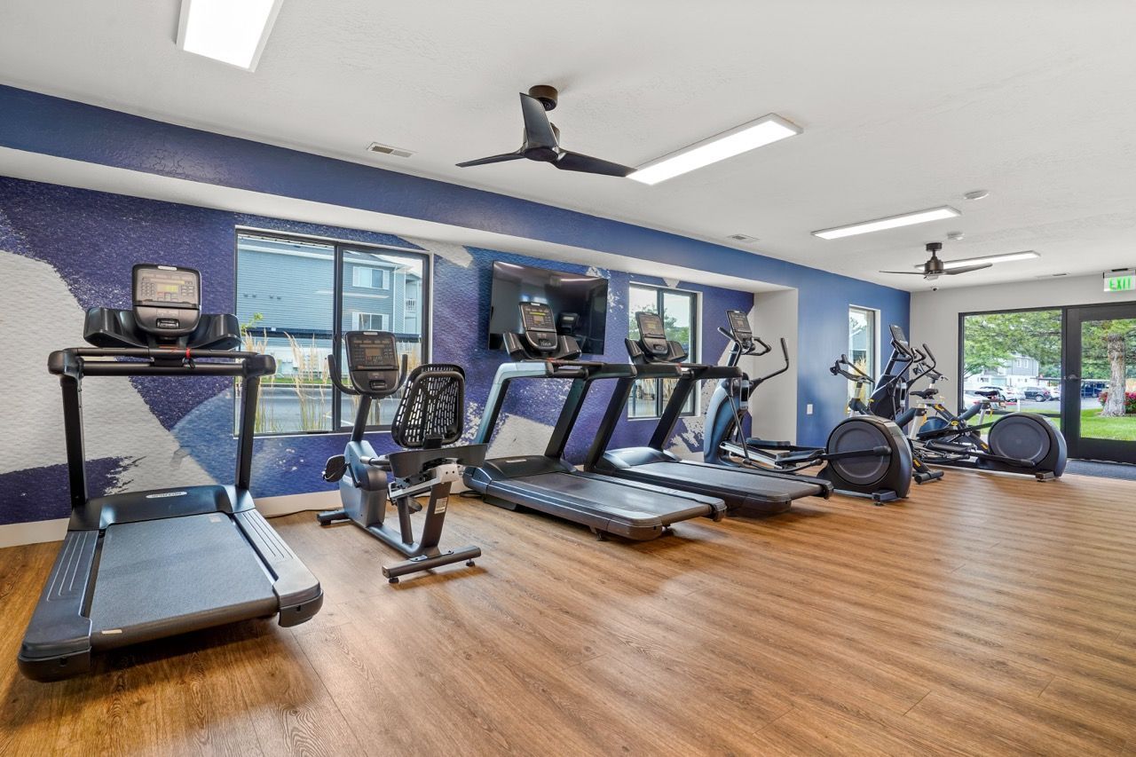 Gym interior with treadmills, ellipticals, and bikes in a modern open space.