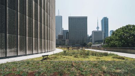 A green roof with a city skyline in the background.