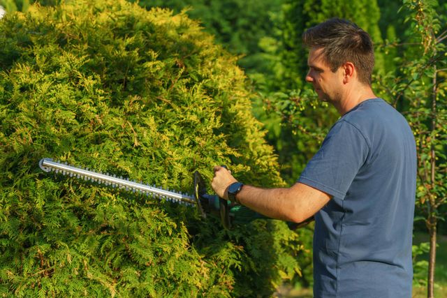 A man is cutting a bush with a hedge trimmer.