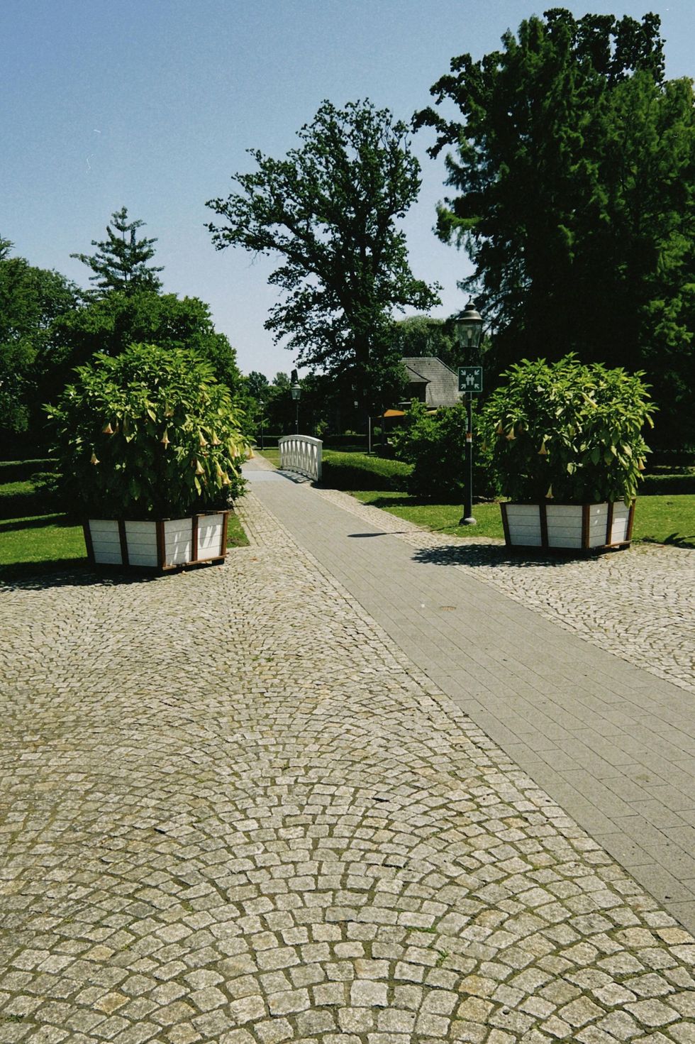 A cobblestone walkway with potted plants on the side
