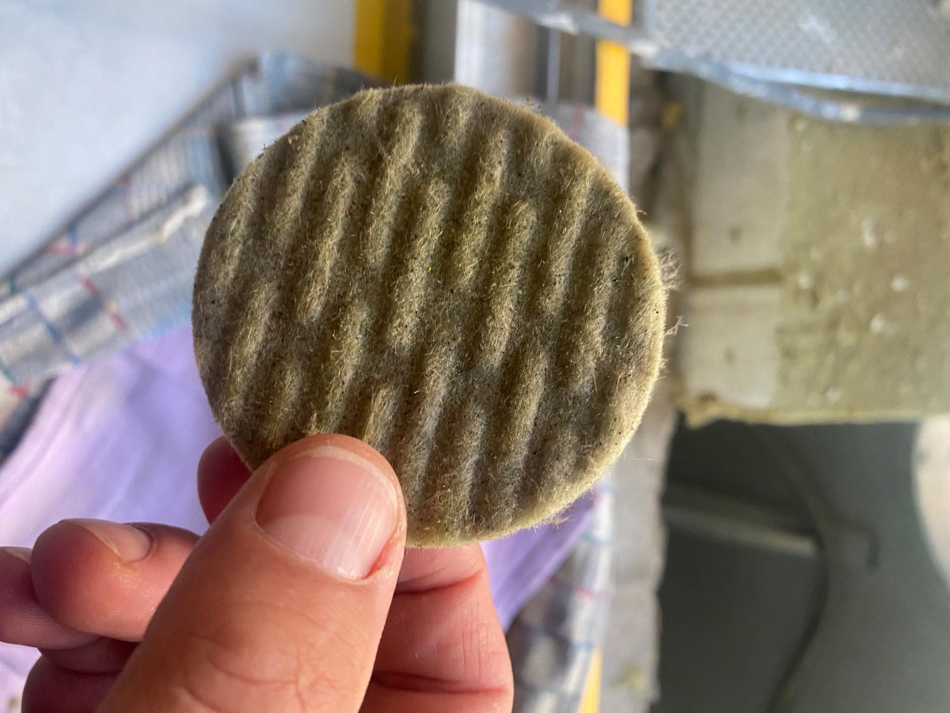 Eine Hand hält einen runden, gewellten, hellbraunen Anzuchtpfropfen.