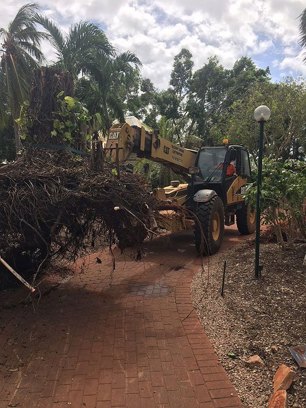 Site clearing and preparation