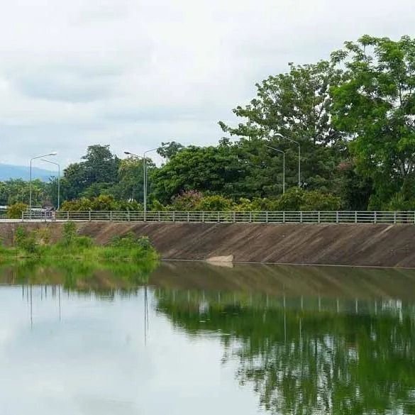 Wastewater treatment ponds