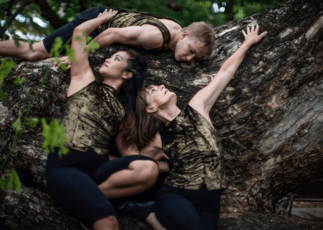 Darwin Festival 2021 Dance