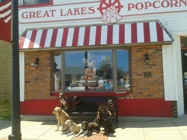 A group of dogs standing in front of Great Lakes Popcorn Co in Port Clinton, OH