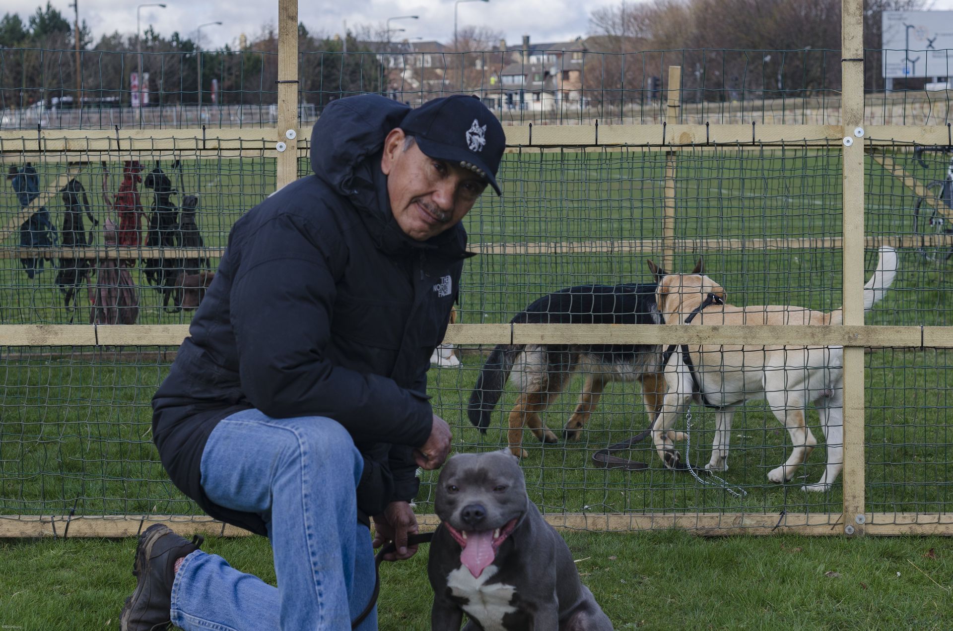 Dog Training Edinburgh