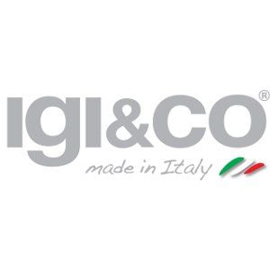 Logo Igi & Co