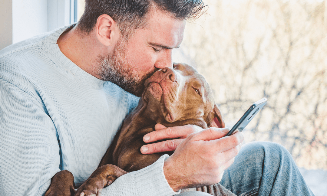 pet cremation in Bernalillo, NM, 