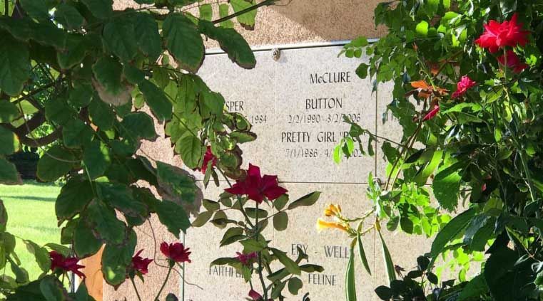 Pet Burial and Memorial Options Albuquerque, NM