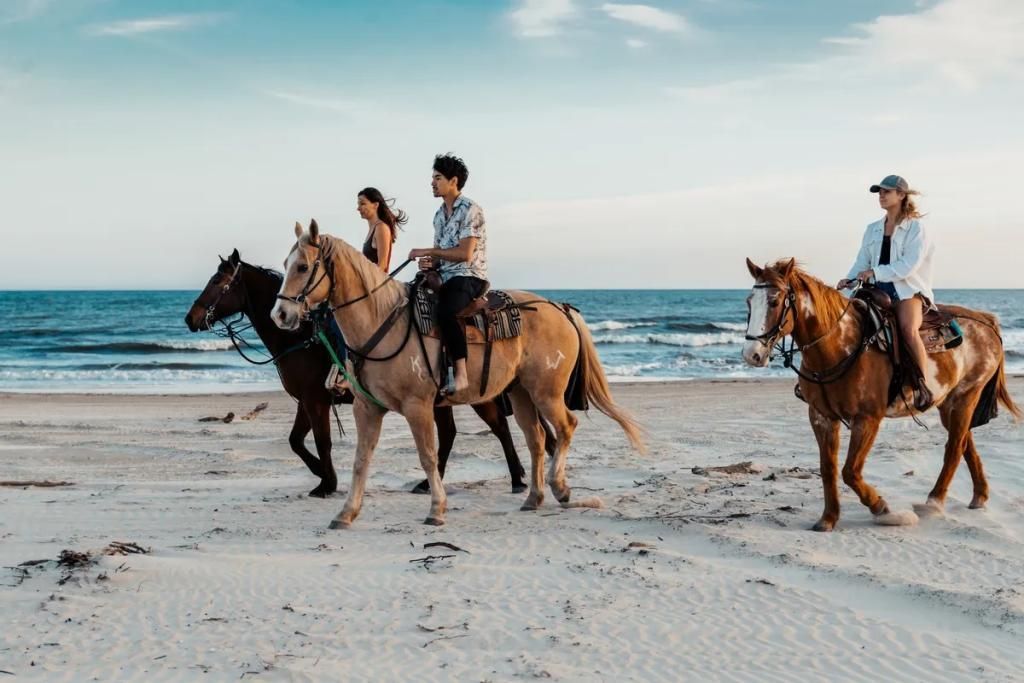 Un grupo de personas monta a caballo en la playa.