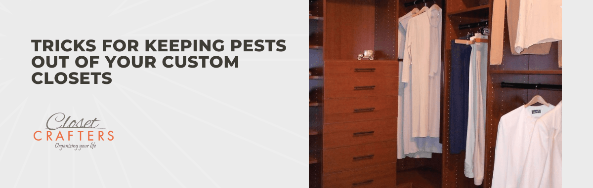 Tricks for Keeping Pests Out of Your Custom Closets