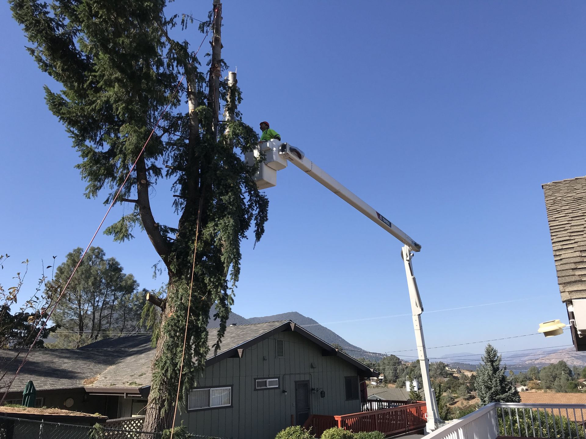 A man is cutting a tree with a crane in front of a house.