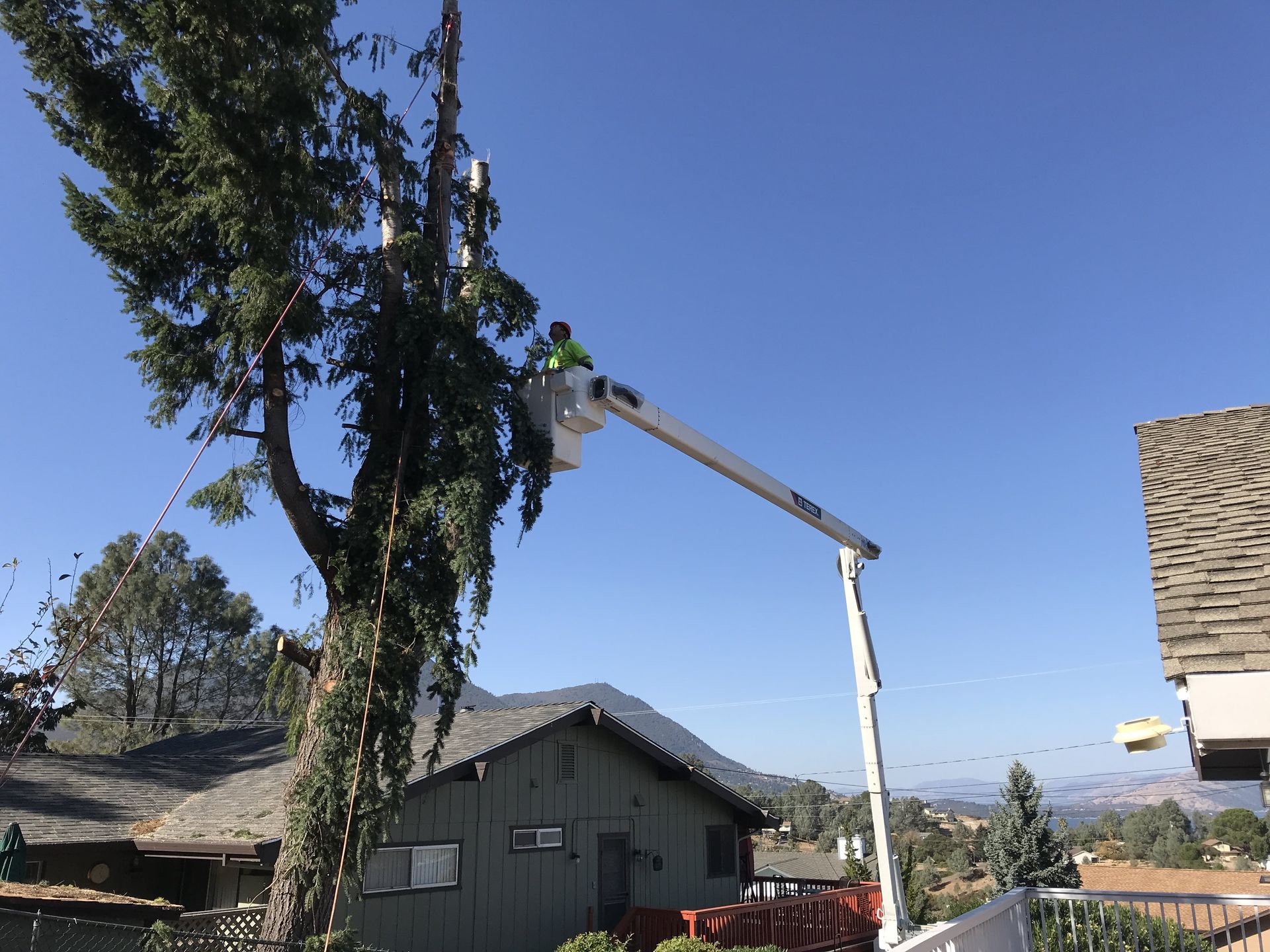 A man is cutting a tree with a crane in front of a house.