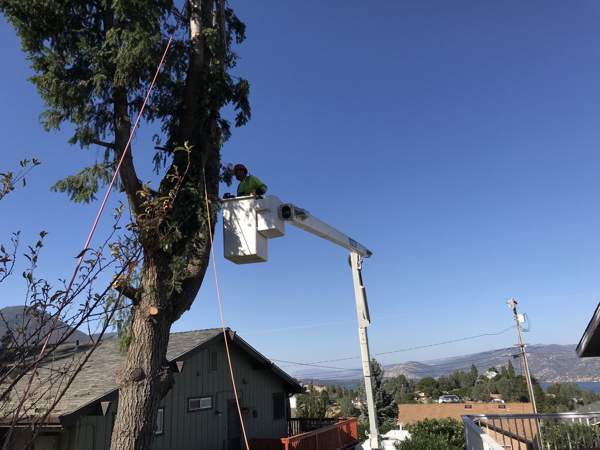 A man in a bucket is cutting a tree in front of a house.