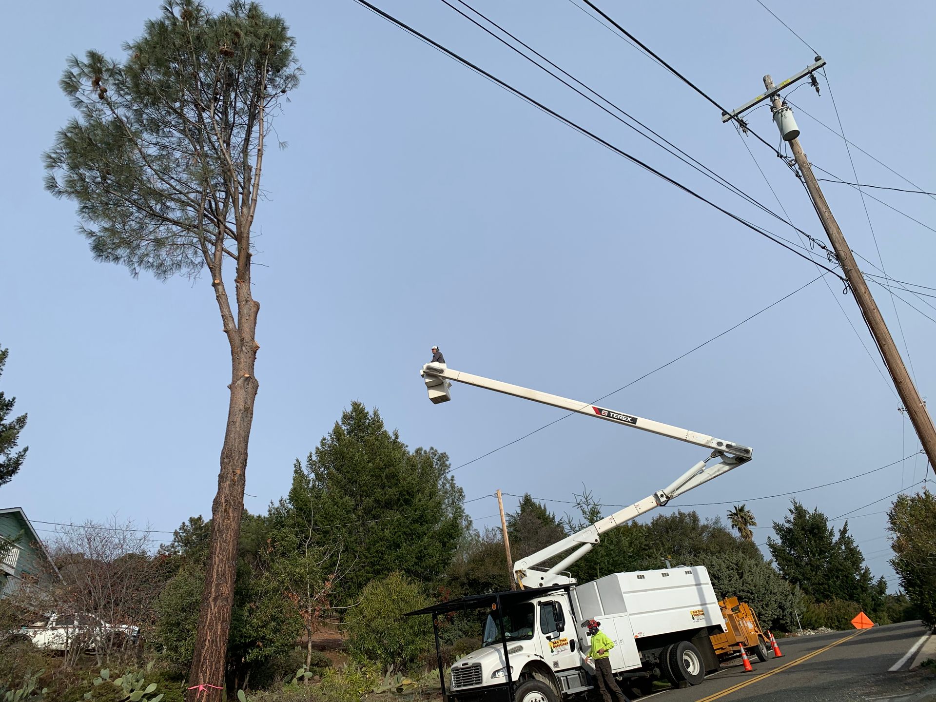 A white truck with a crane attached to it is cutting a tree.