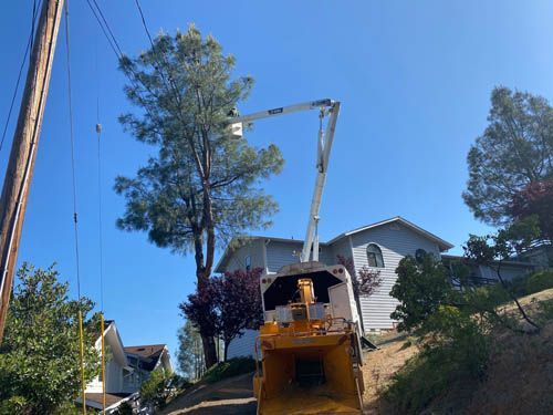A tree chipper is cutting a tree in front of a house.