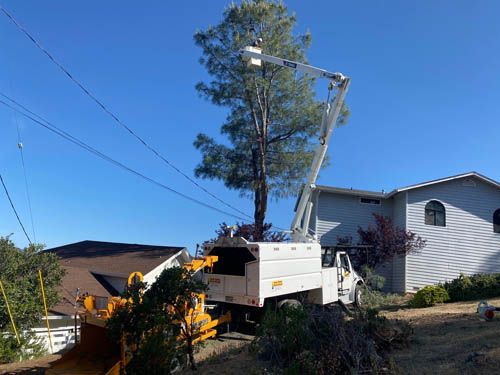 A tree cutting truck is cutting a tree in front of a house.
