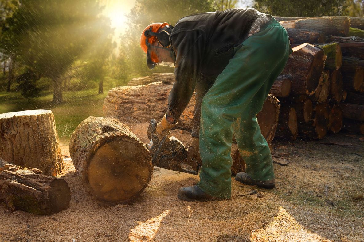 A man is cutting a log with a chainsaw.